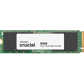 CT1000E100SSD8