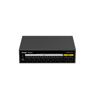 RG-ES110F-P